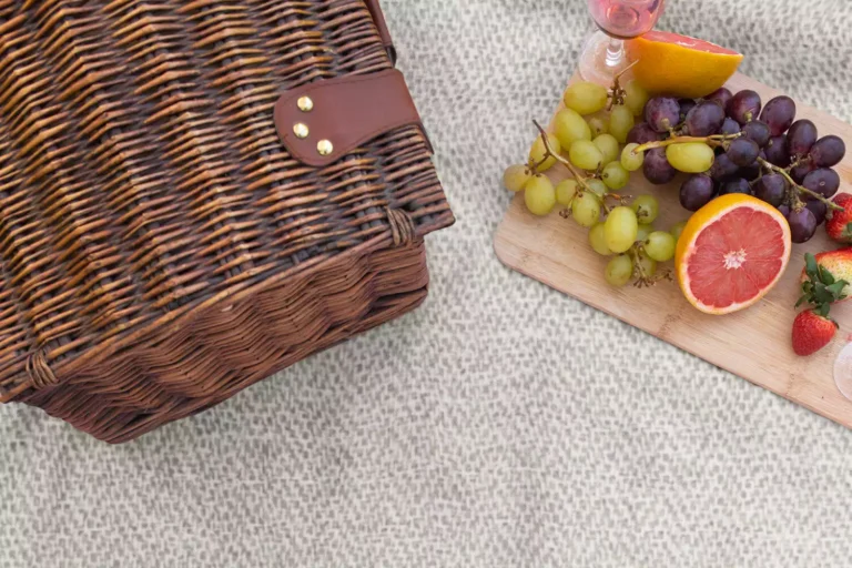 01 MIN 123 AMP UP YOUR GARDEN GATHERINGS WITH THE PERFECT PICNIC BLANKET, GARDEN PARTY PICNIC BLANKET