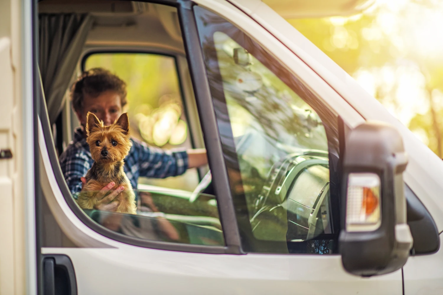 Tesla Model 3 Dog Car Seat for Silky Terriers