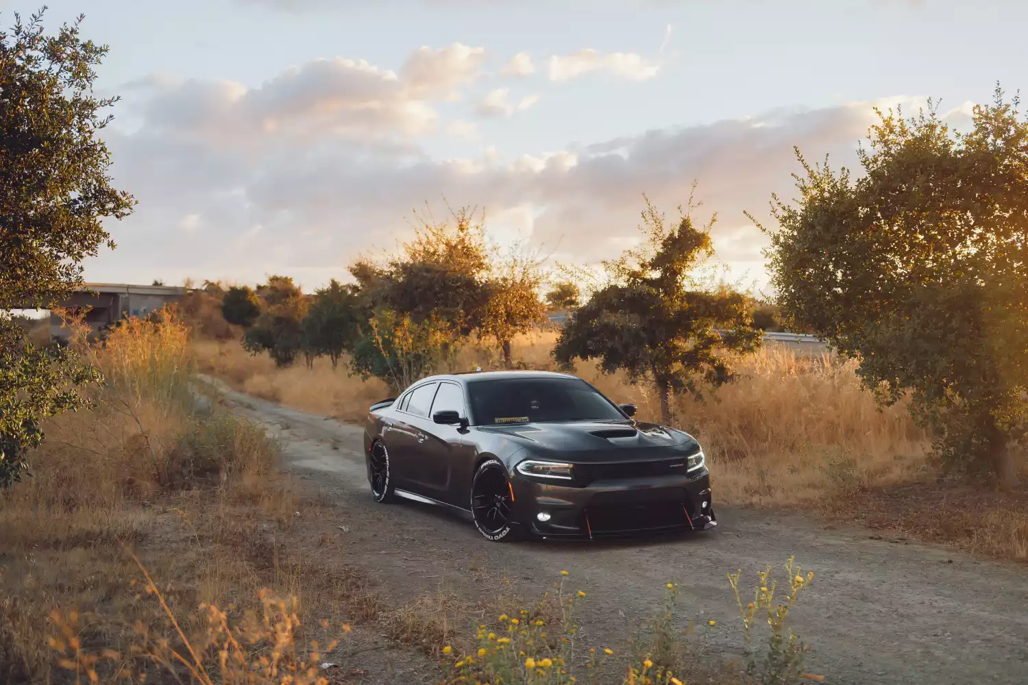 car garbage can for Dodge Charger