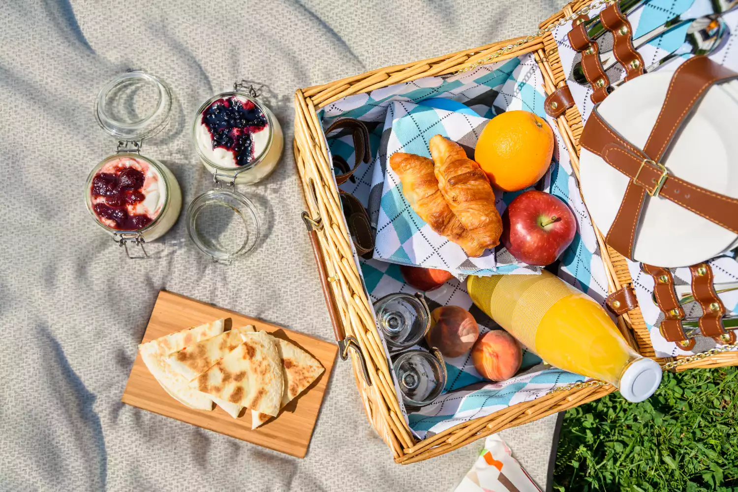 garden party picnic blanket