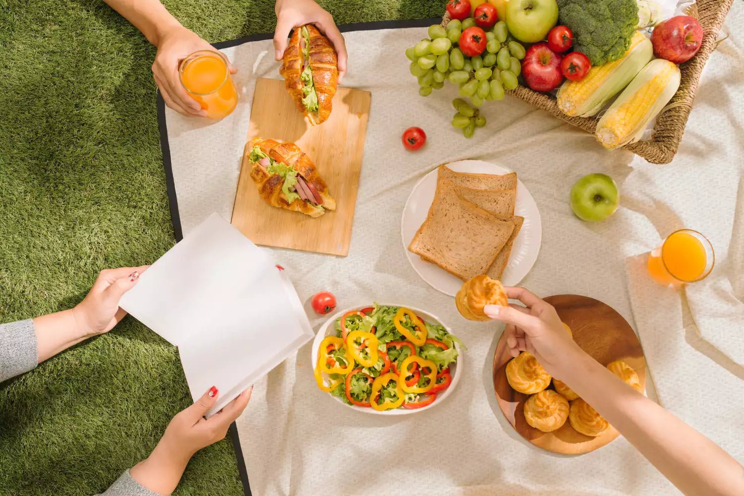 picnic bag and blanket