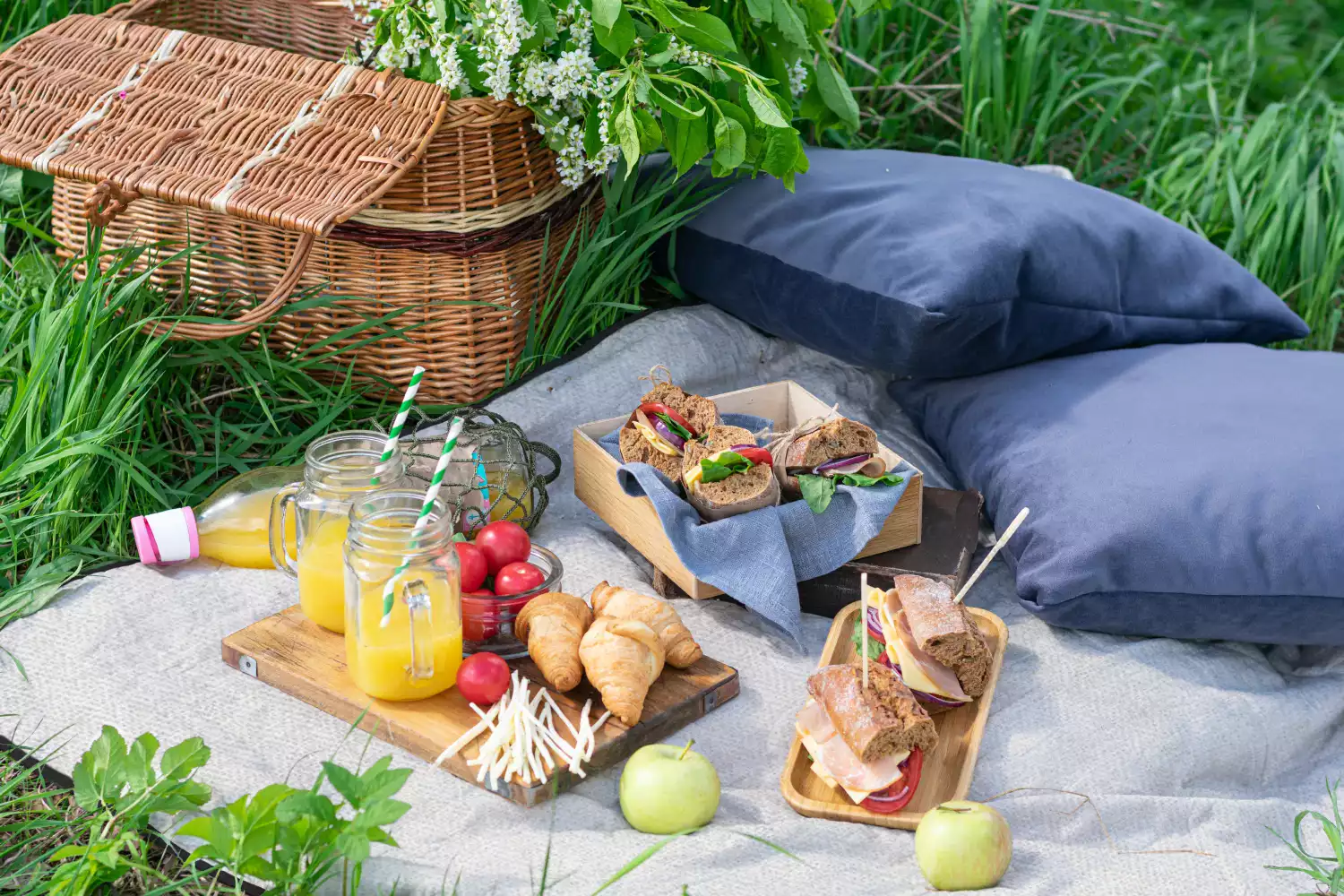 picnic blanket white