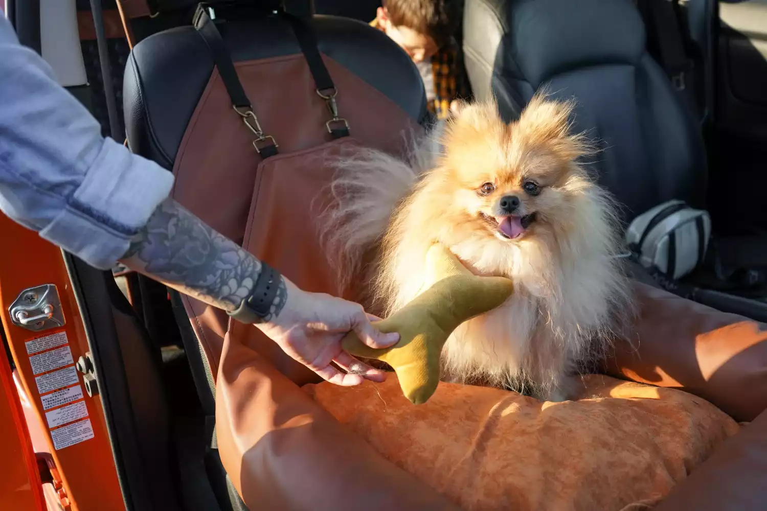 SHIH TZU DOG CAR SEAT FOR MAZDA6