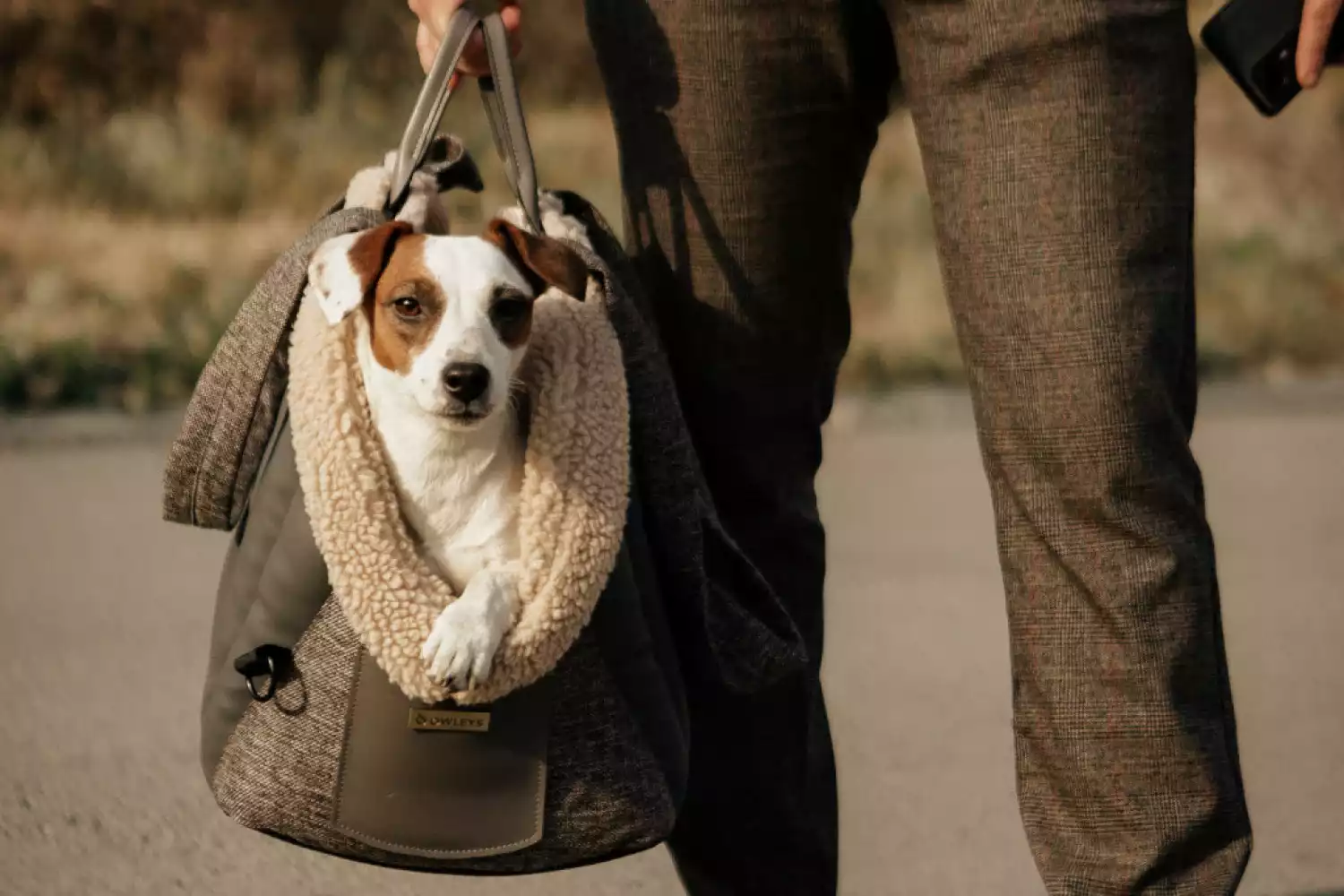 DOG CARRIER PURSE FOR TOY FRENCH BULLDOG