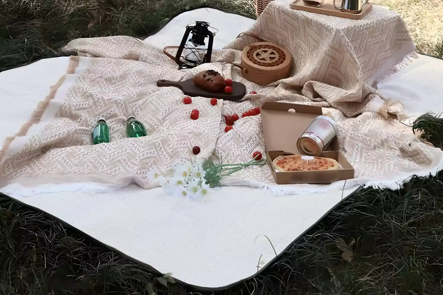 picnic bag and blanket