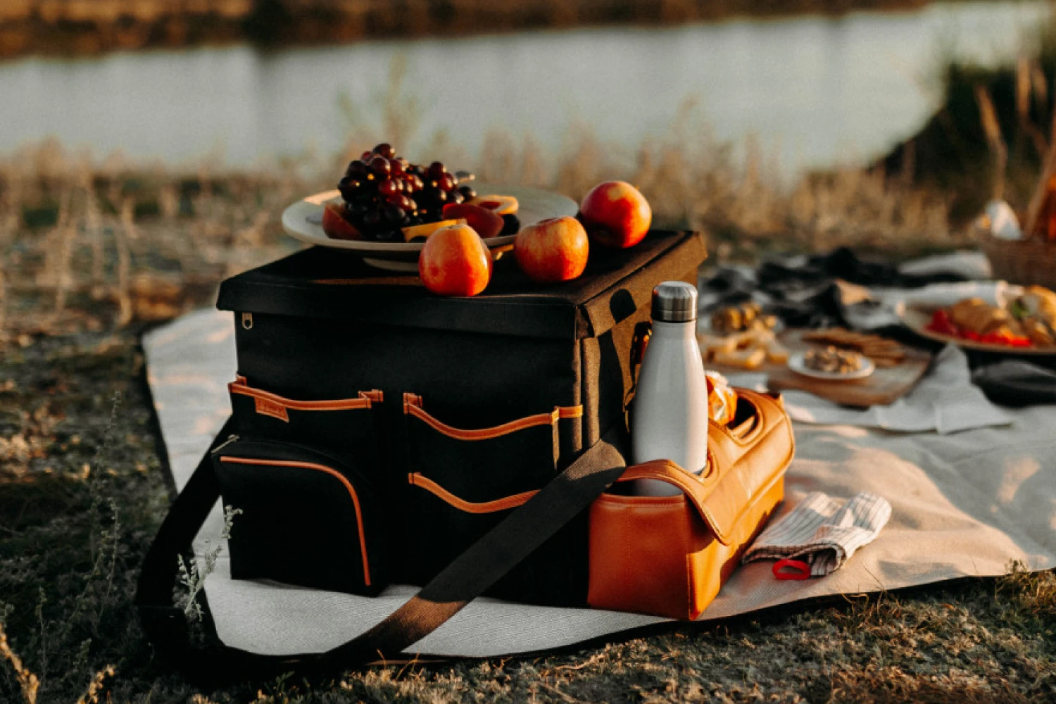 picnic blanket portable