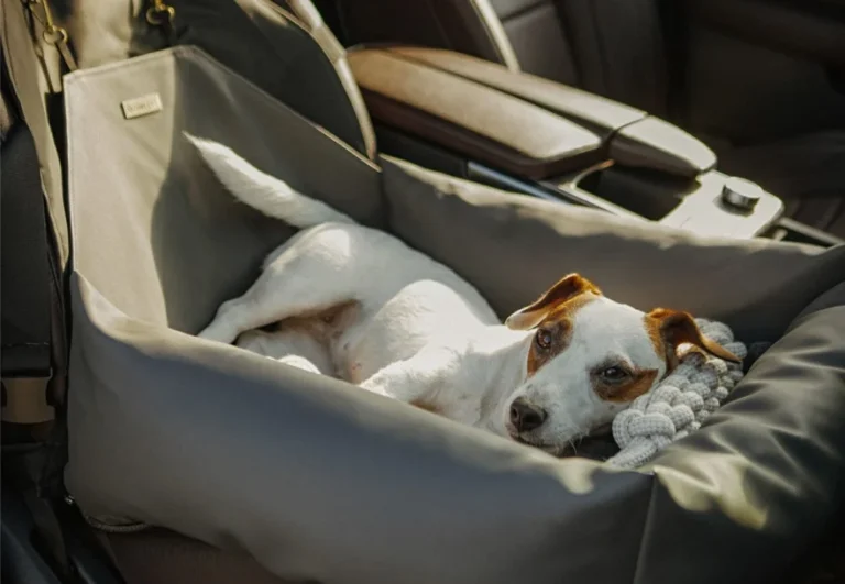 DOGBED 1 PAMPER YOUR PET WITH COMFORT: THE MINIATURE POODLES DOG CAR SEAT FOR VOLKSWAGEN PASSAT