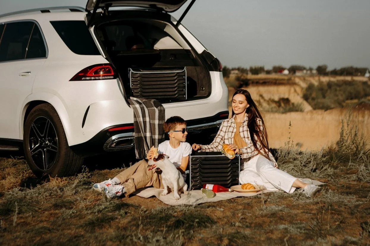 gray picnic blanket