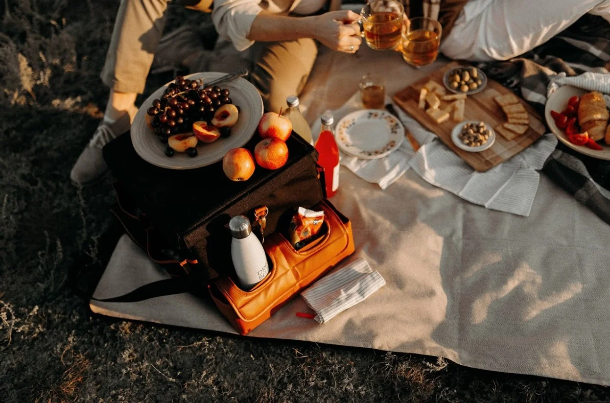 picnic bag and blanket