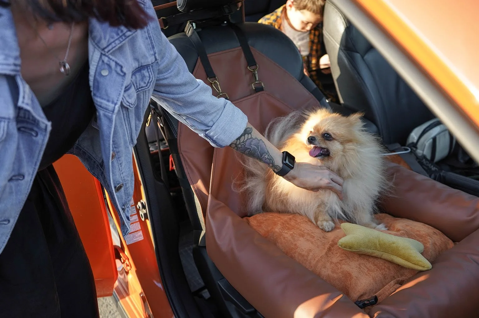 Tesla Model 3 Dog Car Seat for Silky Terriers