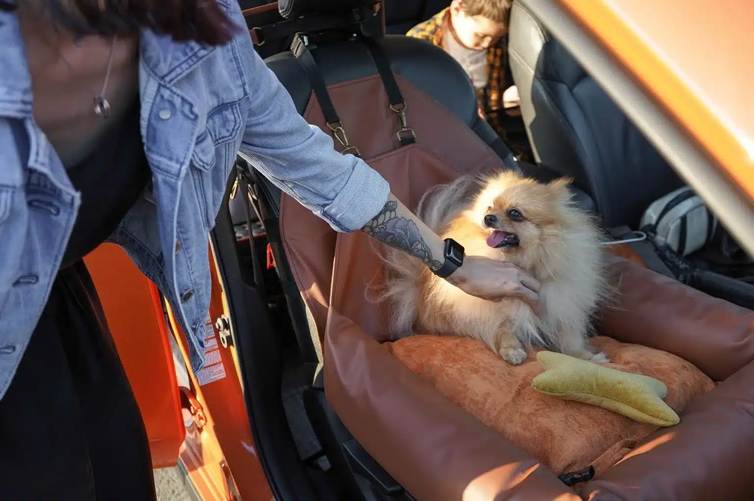 Jeep Wrangler Dog Car Seat for American Water Spaniels